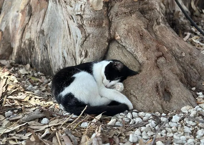 Beachfront With Kids Room, Pool & 2 Workspaces Apartmán *